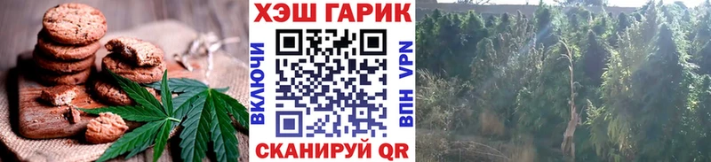 площадка формула  Усть-Кут  Canna-Cookies конопля  купить наркоту 
