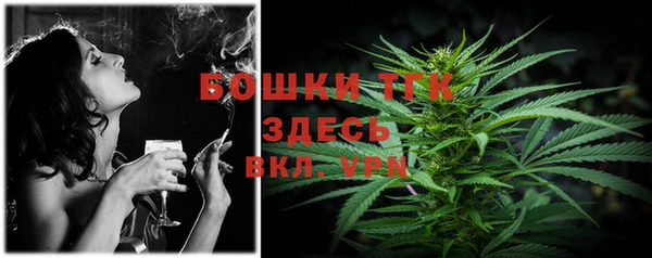 ECSTASY Белокуриха
